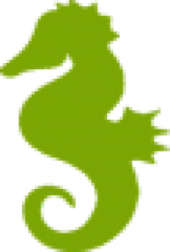 Big Paddy McLicklick