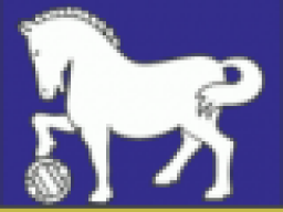 Mighty Horse