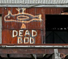Dead Bod