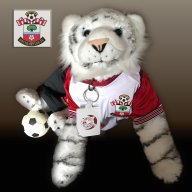 Red_the_Tiger