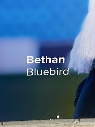 BethanBluebird ⚽️