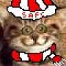 DurhamSafcEngland