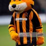 Tigergazza