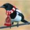WearsidePride