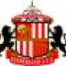 HorshamTiger2
