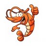 The Shrimp