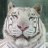 ImperialTiger