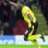 Ryan_wfc