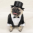 my hat my dinner jacket