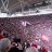 Safc1982