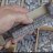 TheCompositor